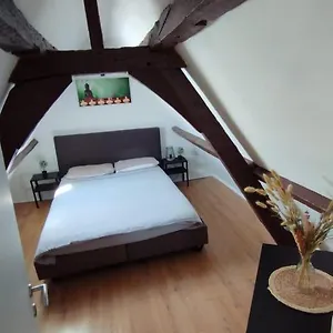 https://the-16th-century-duplex-in-the-city-center.hotelsantwerp.net